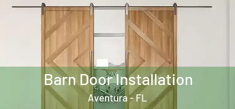 Barn Door Installation Aventura - FL
