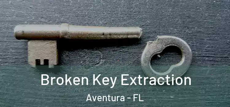 Broken Key Extraction Aventura - FL