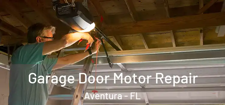  Garage Door Motor Repair Aventura - FL