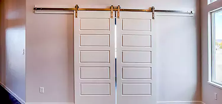 Glass Barn Door with Installation Hardware Kit Aventura
