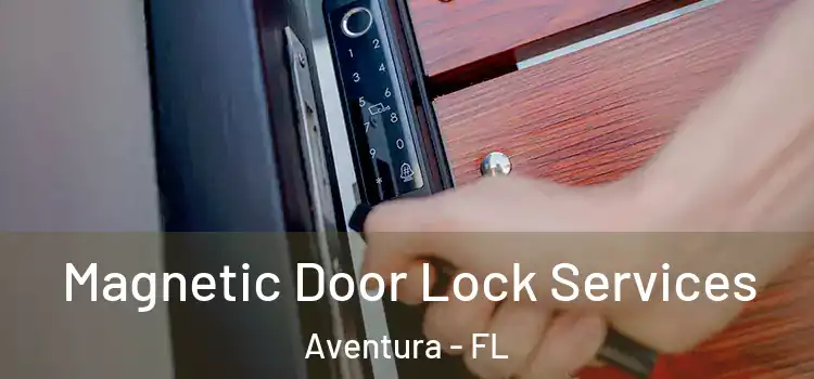Magnetic Door Lock Services Aventura - FL