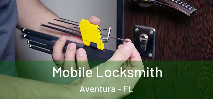  Mobile Locksmith Aventura - FL